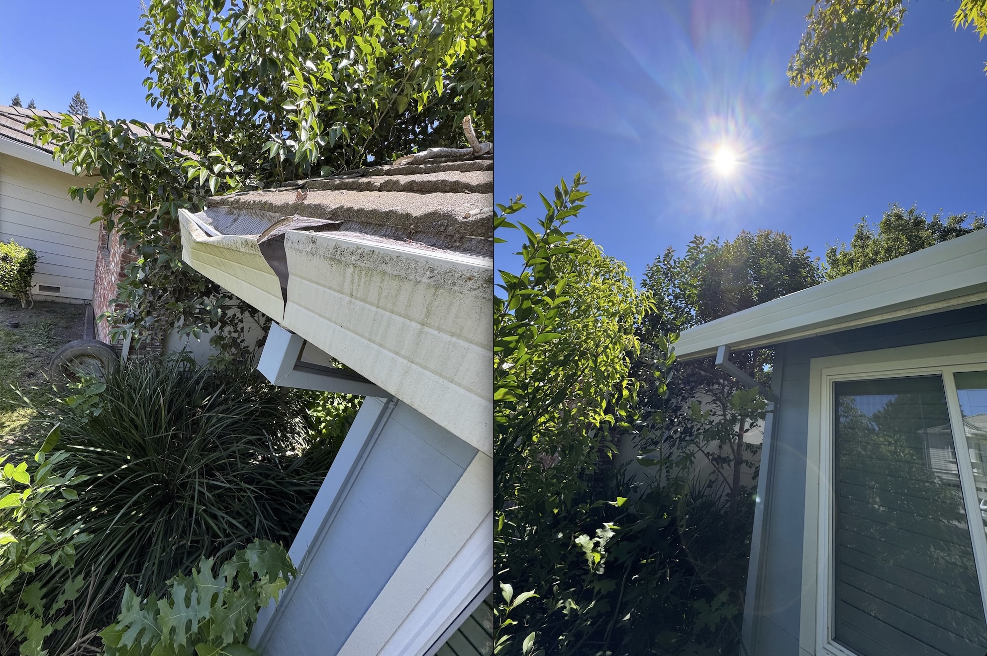 Before: Gutter damaged by tree. After: Gutter section repaired and repainted to match.
